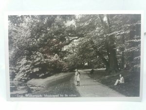 Vintage Dutch RP Postcard Zeist Walkartpark Middenpad Bij De Vijver