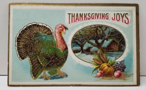 Thanksgiving Joys Turkey Embossed Gilded Postcard B11