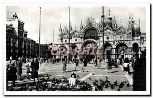 Postcard Old Venice St. Mark's Square Venice Pigeons In Flight