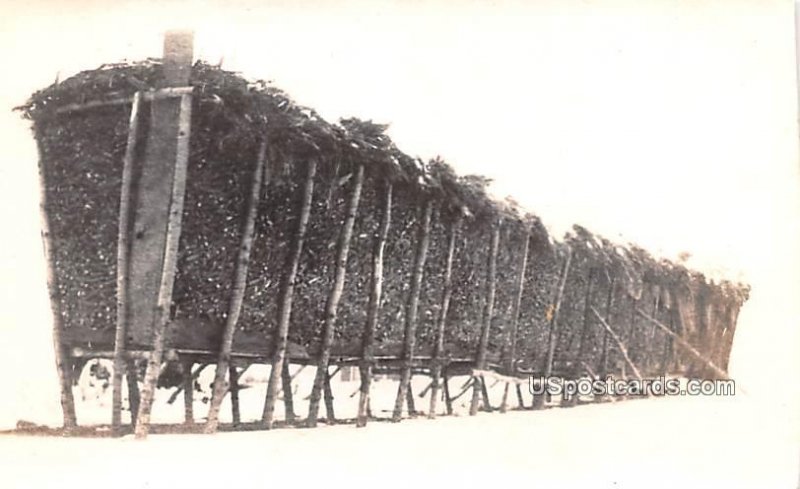 Directions for Building Wire Corn Cribs in Minneapolis, Minnesota