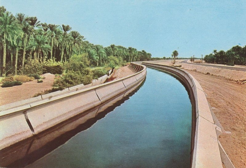 Al-Ahsa Irrigation Project Canal Saudi Arabia Arabic Postcard