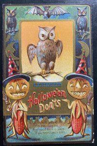 Mint Usa Picture Postcard Cover Owl & Pumpkin A Jolly Halloween 1911