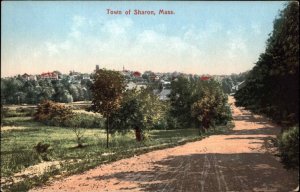 Sharon Massachusetts MA Bird's Eye View of Town c1910 Vintage Postcard