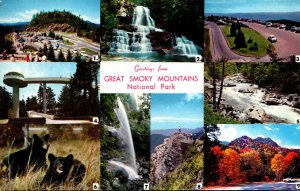 Tennessee Greetings From Smoky Mountains National Park Multi View 1962