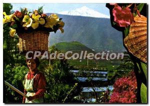 Modern Postcard Purity De La Cruz Tenerife