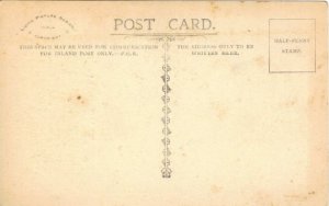 British Soldier Dying Military Man - Poem Blue Bell Vintage Postcard