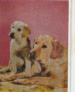 Two dogs Nice modern English photo postvard, with glitter