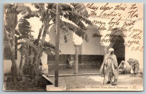 Alger  Algiers  Interior Maison Mauresque  Postcard