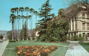 Vintage Postcard Arrowhead Ave. Landscape County Court House San Bernardo Calif