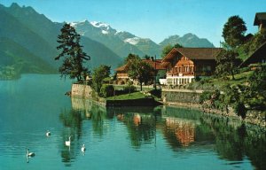 Ebligen am Brienzersee Scenic Lakeview Houses in Switzerland Vintage Postcard