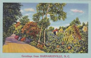 North Carolina Greetings From Barnardsville