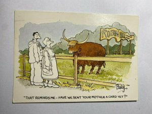 USED   HUMOUR POSTCARD - HAVE WE SENT YOUR MOTHER A CARD YET BULL  (KK1035) 