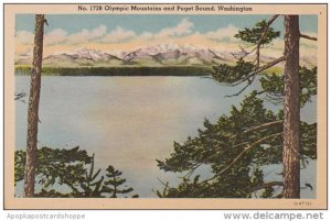 Washington Olympic Mountains And Puget Sound