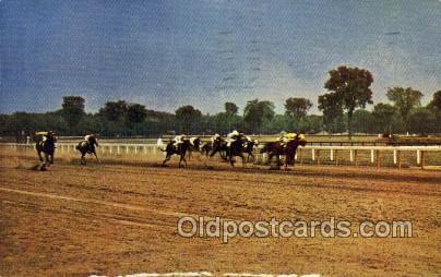 Saratoga Race Track, Saratoga Springs, NY USA Horse Racing Old Vintage Antiqu...