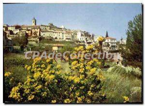 Modern Postcard The French Riviera Miracle of Nature Moungins Alpes Maritimes...