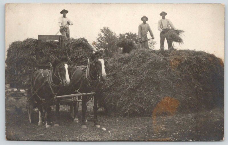 Farm Work Close Up~Farmers Pitch Hay From Mound to Horse Wagon~c1910 RPPC 