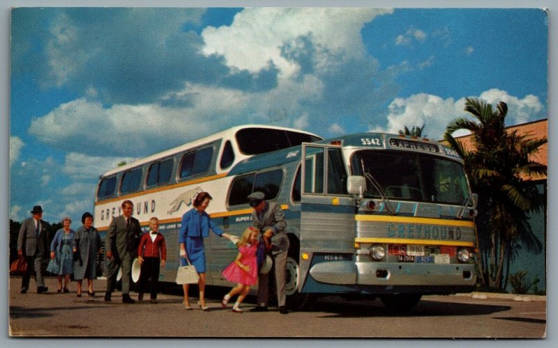 Postcard c1950s Advertising Greyhound Bus 5542 The Super Scenicruiser PD-4501