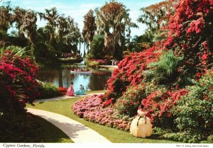 Vintage Postcard Cypress Gardens Towering Trees Laced Lagoons Canals & Bays FL