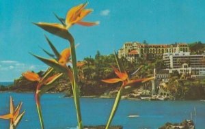 Reids Hotel Madeira Portugal Postcard