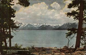 LAKE TAHOE NV View Through Pines at Glenbrook OVERLAND Lt...