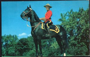 Royal Canadian Mounted Police in Canada on his Horse - Chrome