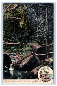 1908 A View Of Tropic Jungle On Hawaii Near Honolulu HI Posted Antique Postcard