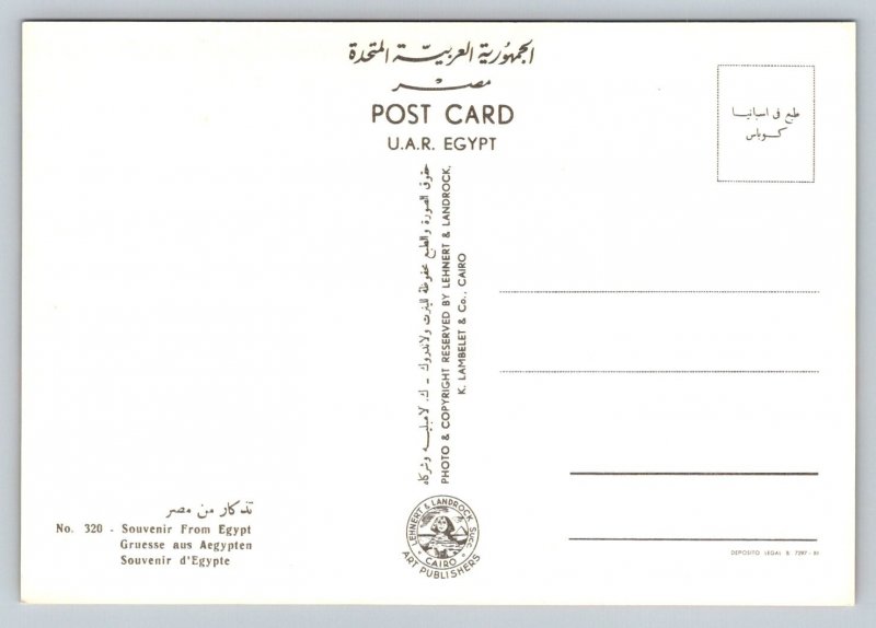 Muslim Arab Men Praying   Egypt  Postcard