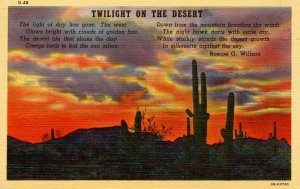 Desert at Twilight