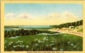 Beautiful Scenic Drive to Lake Waco, Waco TX Vintage Postcard L47 