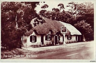 THE CAT & FIDDLE INN NEW FOREST ENGLAND UK