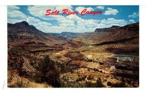 AZ - Salt River Canyon