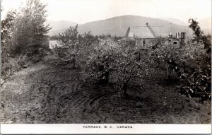 RPPC Real Photo Postcard British Columbia Terrace Orchard Skeena Region 1944 K96