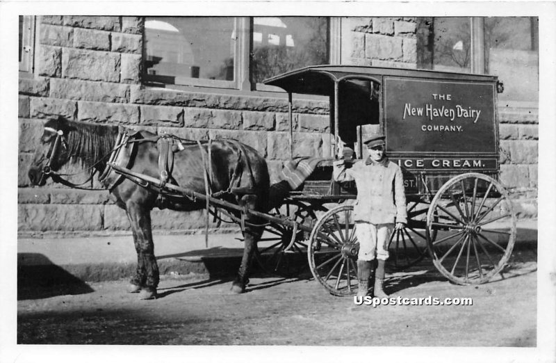 New Haven Dairy Company Ice Cream - Connecticut CT