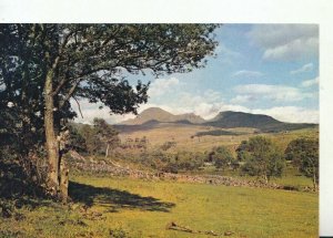 Wales Postcard - The Moelwyns - Snowdonia - Caernarvonshire - Ref TZ8286