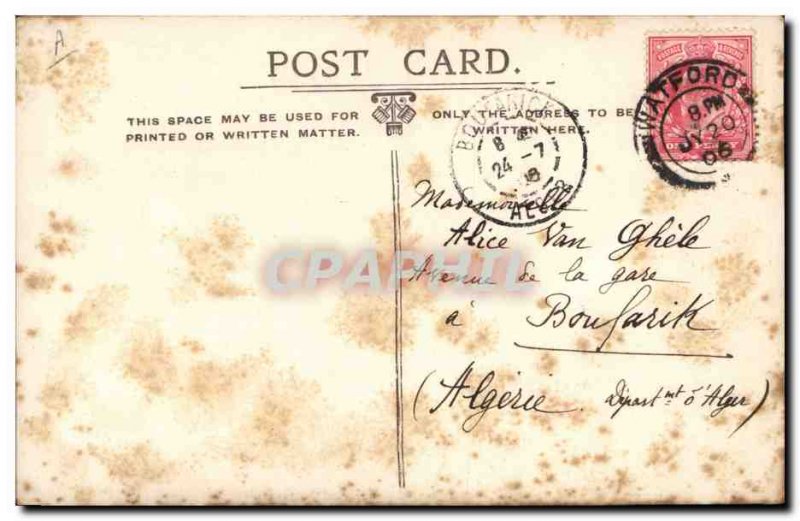 Postcard Old Miss Dare Phyliss