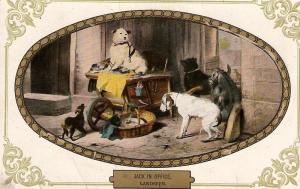 \Jack in Office\  English Dog Postcard