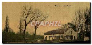 Old Postcard Horse Riding Equestrian Chatou stud (TOILEE map)