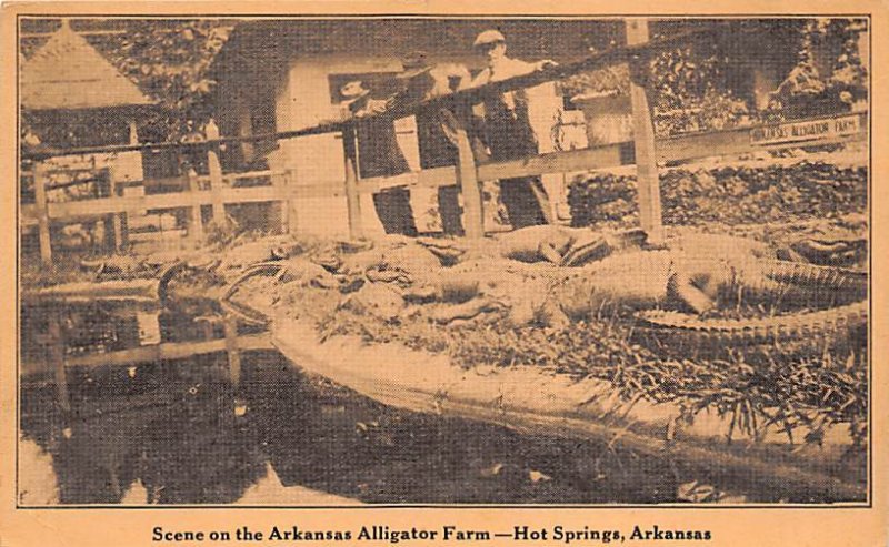 Arkansas Alligator Farm Hot Springs, Arkansas, USA Unused 