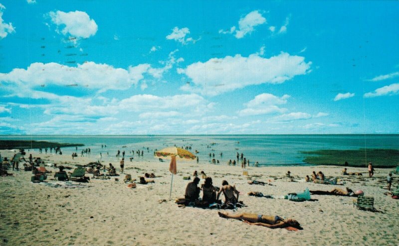 USA Skaket Beach Orleans Cape Cod Massachusetts Vintage Postcard 07.99 