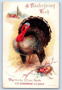 Ellen Clapsaddle Artist Signed Postcard Thanksgiving Turkey And Fruits Embossed