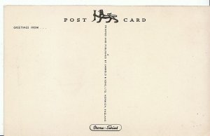 Devon Postcard - Anstey's Cove, Torquay  U65