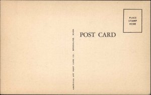 Brookline Massachusetts MA Worcester Turnpike c1940s Postcard