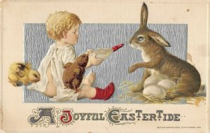 Winsch baby feeding rabbit Easter postcard AE97