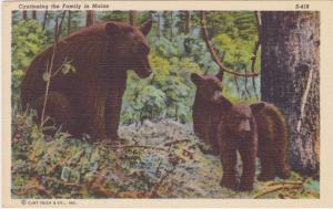 Cautioning the Bear Family in Maine - 1940 Linen