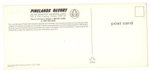 Pinelands Resort, Muskoka, Port Carling, Ontario, Vintage Advertising Postcard