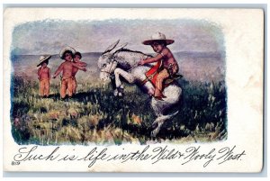 Tammen Signed Postcard Bucking Bronco Donkey Children Cowboys Embossed 1907