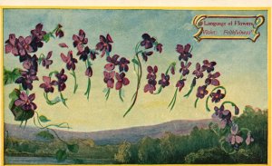 Vintage Postcard Language Of Flowers Violet As Faithfulness Lake & Mountains