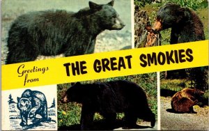 Greetings From The Great Smokies Tennessee Multi View