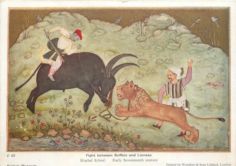 Mughal School - Fight between Buffalo and Lioness