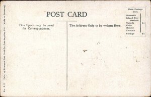 Steamship SS State of California c1910 Postcard - Unused 